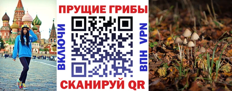 Галлюциногенные грибы прущие грибы  где можно купить наркотик  Рудня 